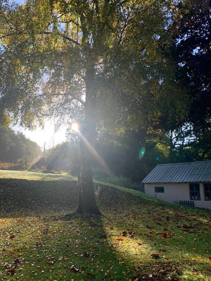 Bed and Breakfast Efail Y Garn Swansea Zewnętrze zdjęcie